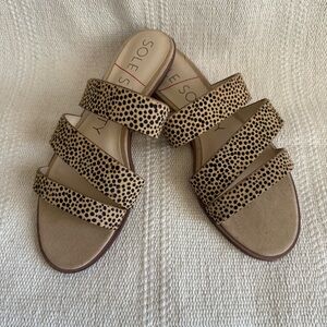 Sole Society Simonaa Flat Leopard  Sandal SZ 6